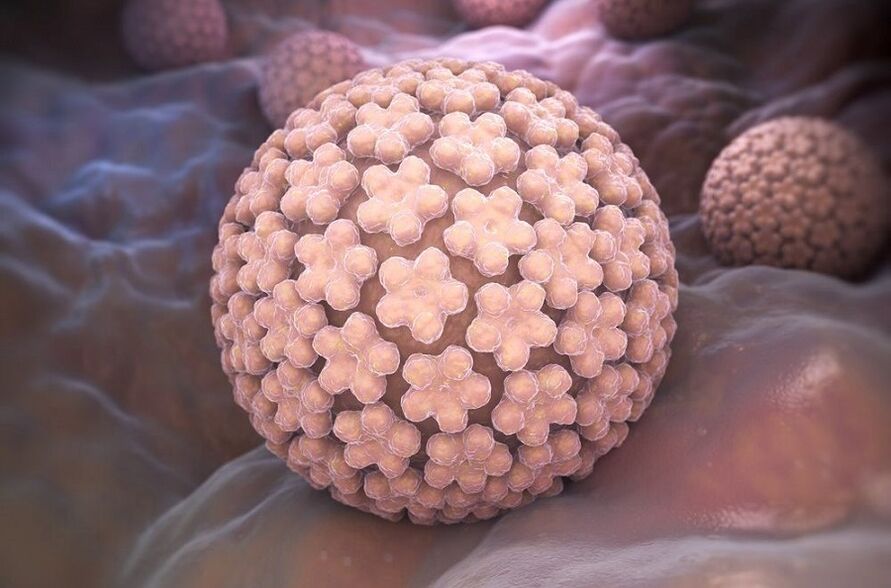 human papillomavirus which causes warts